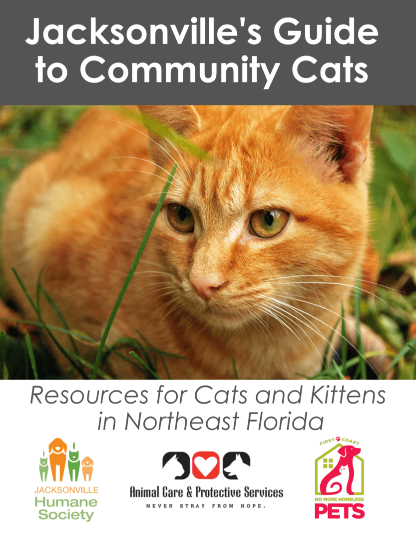 Community / Feral Cat Assistance