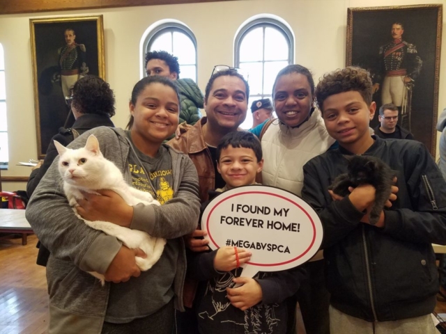 Pet Adoption Jacksonville Philadelphia