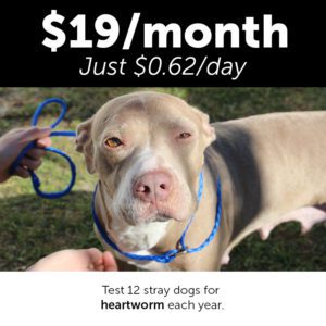 Monthly Giving Animal Welfare