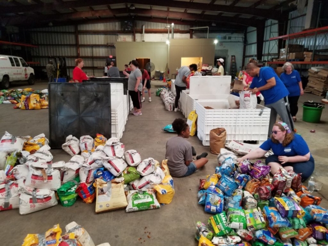 Volunteers Hard at Work