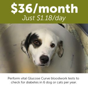 Monthly Giving Animal Welfare