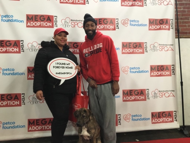Pet Adoption Jacksonville Philadelphia