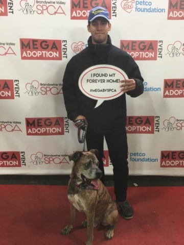 Pet Adoption Jacksonville Philadelphia