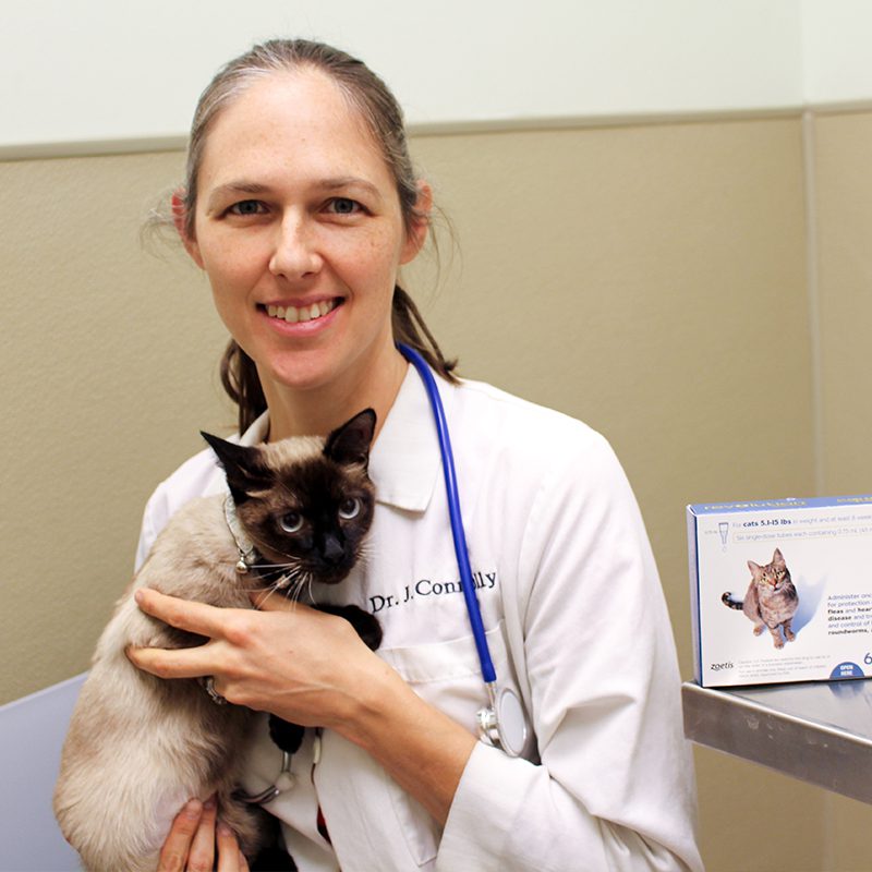 Clinic and Hospital First Coast No More Homeless Pets