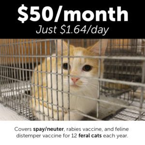 Monthly Giving Animal Welfare