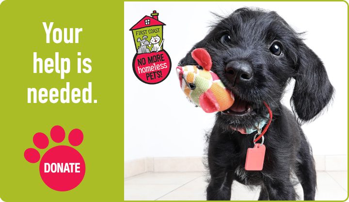 First Coast No More Homeless Pets