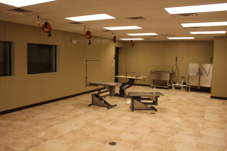 First Coast No More Homeless Pets Cassat