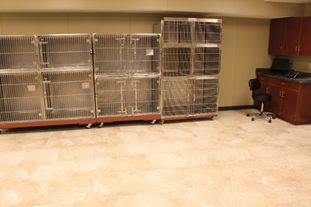 First Coast No More Homeless Pets Cassat
