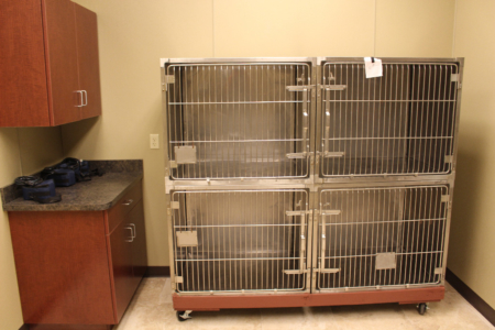 First Coast No More Homeless Pets Cassat