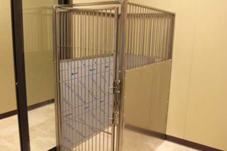 First Coast No More Homeless Pets Cassat