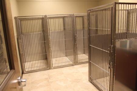 First Coast No More Homeless Pets Cassat