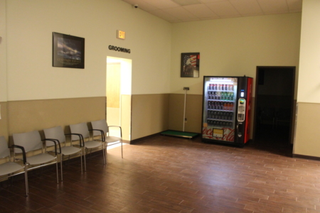 Cassat Veterinary Jacksonville