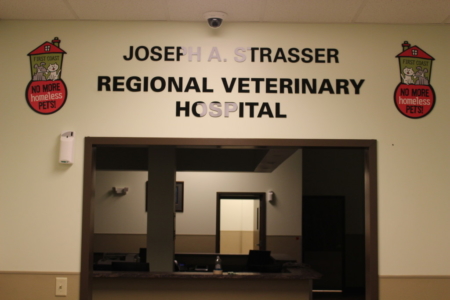 Jacksonville Low Cost Veterinary