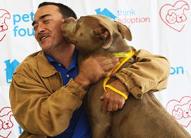 MEGA-Adoption Happy Tail