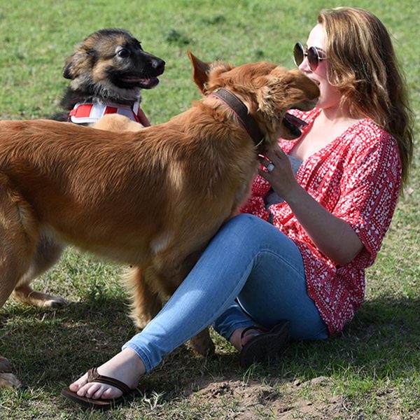 Veterinary Services