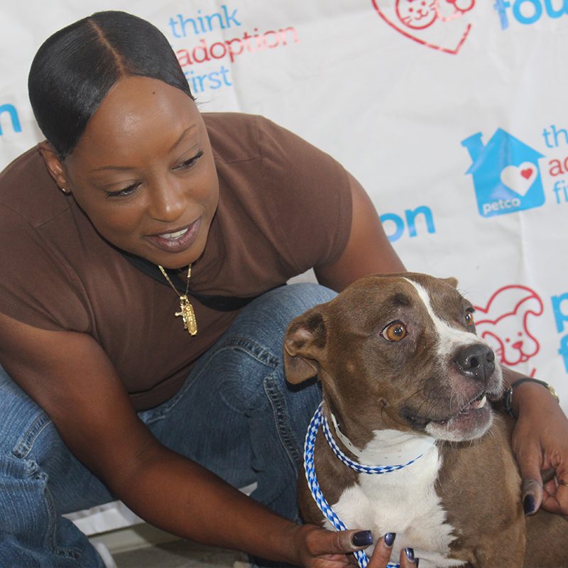 30 Best Photos Jacksonville Pet Adoption This Weekend / City Of Jacksonville Coj On Twitter Been Waiting To Add A Four Legged Friend To Your Family Now S The Time Animal Care Protective Services And The Jax Humane Society Are Offering Free