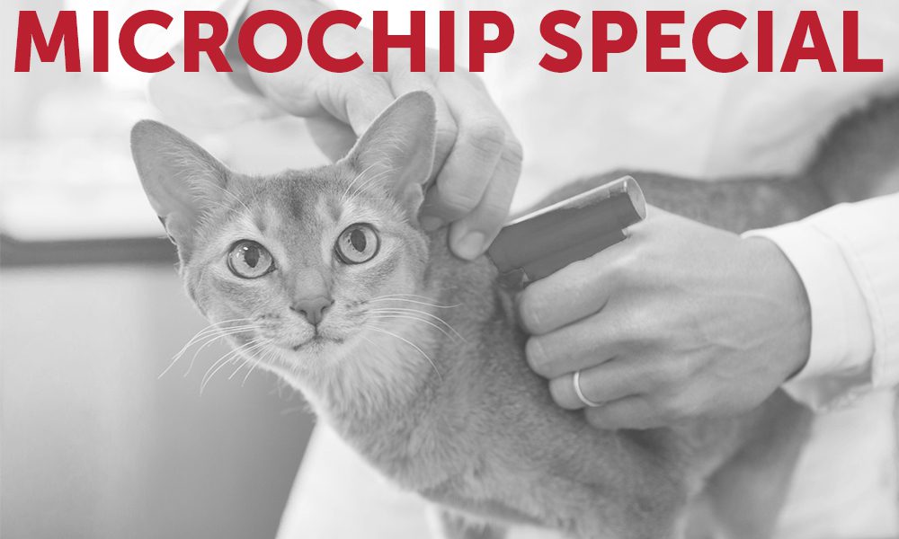 Microchip Special