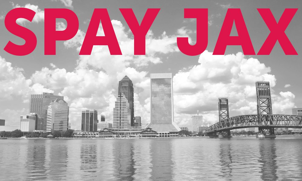 Spay Jax